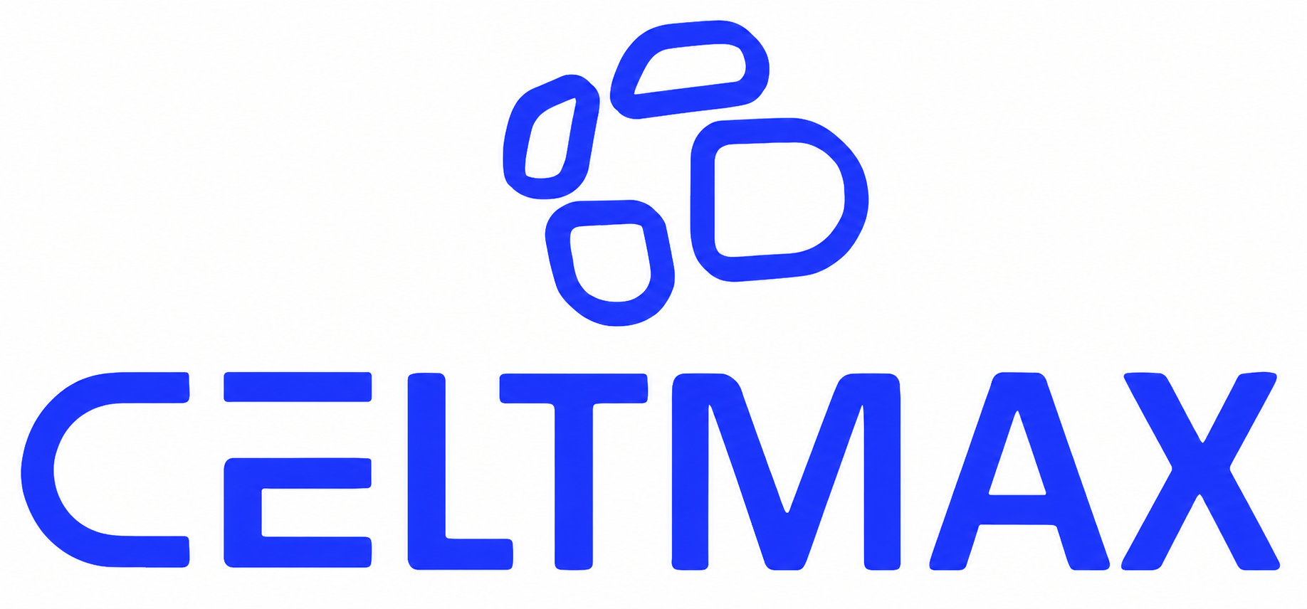 CeltMax Logo